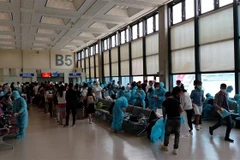 (Ảnh minh họa: TTXVN phát)