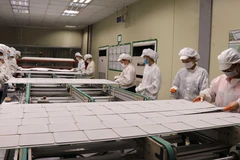 Sản xuất tại Công ty TNHH Green Energy Technology Việt Nam, trong khu công nghiệp VSip, Hoàn Sơn, huyện Tiên Du, tỉnh Bắc Ninh. (Ảnh: Thanh Thương/TTXVN)