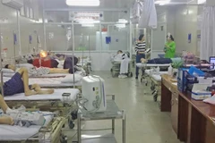 (Ảnh minh họa: TTXVN phát)