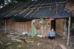 Hoàn cảnh khó khăn của gia đình bà Trương Thị Hoa, thôn 6B, xã Cư Elang, huyện Ea Kar - là hộ nghèo năm 2019 của xã nhưng không được nhận tiền hỗ trợ. (Ảnh: Hoài Thu/TTXVN)