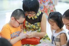 Ảnh minh họa. (Nguồn: Vietnam+)