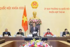 Ảnh minh họa. (Nguồn: TTXVN)