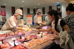 Ảnh minh họa. (Nguồn: Đức Duy/Vietnam+)