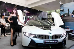 Ảnh minh họa. (Nguồn: Doãn Đức/Vietnam+)