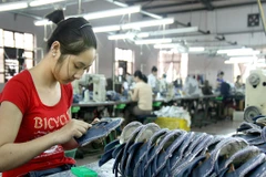 Ảnh minh họa. (Nguồn: TTXVN)