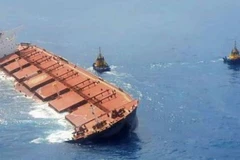 Tàu MV Stellar Banner. (Nguồn: tradewindsnews.com)