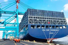 Tàu chở hàng hóa xuất nhập khẩu tại cảng Port Elizabeth của Nam Phi. (Ảnh: Phi Hùng/TTXVN)