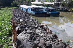 Đắp đập tạm ngăn mặn trên kênh Giồng Riềng-Bến Nhứt, huyện Giồng Riềng. (Ảnh: Lê Huy Hải/TTXVN)