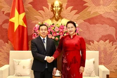 Chủ tịch Quốc hội Nguyễn Thị Kim Ngân tiếp Đại sứ Lào tại Việt Nam Sengphet Houngboungnuang đến chào xã giao. (Ảnh: Dương Giang/TTXVN)