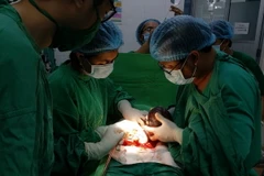 Ảnh minh họa. (Nguồn: TTXVN phát)