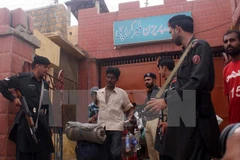 Ảnh minh họa. (Nguồn: THX/TTXVN)