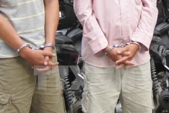 Ảnh minh họa (Nguồn: TTXVN)