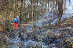 (Ảnh minh họa: Xuân Tư/TTXVN)