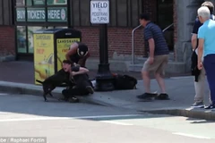 Con pitbull lao vào tấn công chú chó nhỏ. (Nguồn: Daily Mail)