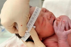 Ảnh chỉ có tính minh hoạ. (Nguồn: telesurtv.net) 