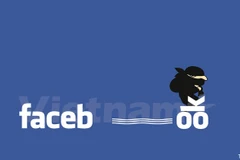 Ảnh minh họa. (Ảnh: Võ Phương/Vietnam+)