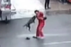 Cọn chó tấn công người đàn ông. (Nguồn: CCTV)