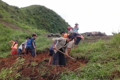 (Ảnh minh họa: Đỗ Bình/TTXVN)