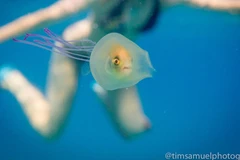 Khoảnh khắc hiếm có. (Nguồn: Tim Samuel)