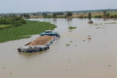 Mặt nước sông vàm Cỏ Đông. Ảnh minh họa. (Nguồn: Lê Đức Hoảnh/Vietnam+)