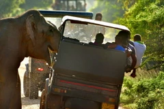 May mắn không ai bị thương sau vụ việc trên. (Nguồn: Caters News Agency)