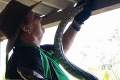 Bạn bè và gia đình ông Wayne đau xót khi biết tin dữ. (Nguồn: Daily Mail)