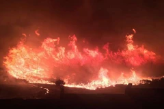 Ảnh minh họa. (Nguồn: rt.com)