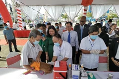 Tiêm phòng dại cho chó. (Ảnh minh họa: Công Trí/TTXVN)