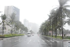 (Ảnh minh họa: Văn Dũng/TTXVN)