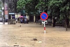 Lũ quét gây ngập từ 0,5-1m tại khối 1, thị trấn Mường Xén, huyện Kỳ Sơn. (Ảnh: Tá Chuyên/TTXVN)