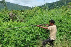 Lực lượng chức năng dựng lại hiện trường vụ việc ông Ksor Nô bắn nhầm anh Trương Anh Hảo vì tưởng là thú săn. (Ảnh: TTXVN phát)