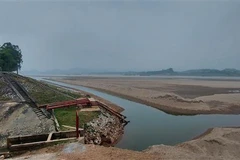 Mô hình chăn nuôi mang lại hiệu quả kinh tế cao của hộ nông dân Tạ Thị Lý, thôn Hạ Thái, xã Duyên Thái, huyện Thường Tín (Hà Nội). (Ảnh: Vũ Sinh/TTXVN)