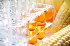 Ảnh minh họa. (Nguồn: nongnghiep.vn)