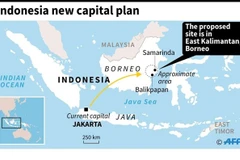 Indonesia dự kiến di dời thủ đô từ Jakarta sang tỉnh Đông Kalimantan. (Nguồn: AFP)