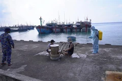 Ảnh minh họa. (Ảnh: TTXVN)