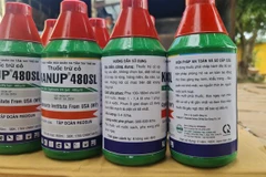 Các chai thuốc trừ cỏ nhãn hiệu KANUP có hoạt chất Glyphosate IPA Salt bị tạm giữ. (Ảnh: Nguyễn Hoài Nam/TTXVN)