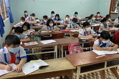 Ảnh minh họa. (Ảnh: Tường Quân/TTXVN)