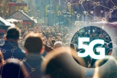 Ảnh minh họa. (Nguồn: thethaiger.com)