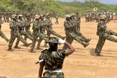 Ảnh minh họa. (Nguồn: euractiv.com)