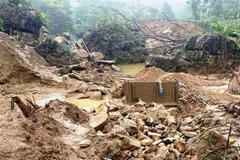 Ảnh minh họa. (Ảnh: Tuấn Anh/TTXVN)