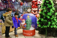 Ảnh minh họa. (Ảnh: THX/TTXVN)