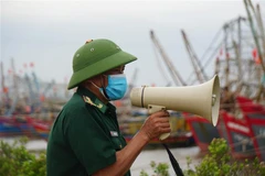 Bộ đội biên phòng Thanh Hóa kêu gọi tàu thuyền vào nơi tránh trú an toàn. (Ảnh: TTXVN)