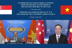 Thứ trưởng Bộ Ngoại giao Nguyễn Quốc Dũng và Bí thư thường trực Bộ Ngoại giao Singapore Chee Wee Kiong đồng chủ trì Kỳ họp lần thứ 14 Tham khảo chính trị Việt Nam-Singapore theo hình thức trực tuyến. (Ảnh: TTXVN)