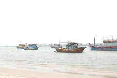 Ảnh minh họa. (Ảnh: Võ Dung/TTXVN)