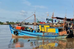 Ảnh minh họa. (Ảnh: Tuấn Kiệt/TTXVN)