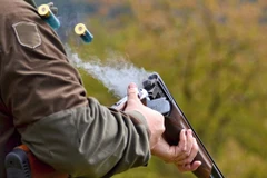 Ảnh minh họa. (Nguồn: whitehartdartmoor.co.uk)