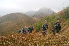 Ảnh minh họa. (Nguồn: nhandan.com.vn)