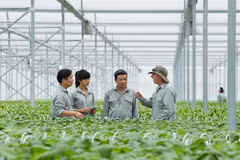 Cán bộ của VinEco đến hướng dẫn cho các hộ nông dân.