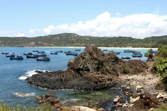 [Photo] Ghềnh Đá Đĩa Phú Yên - Vẻ đẹp của tạo hóa