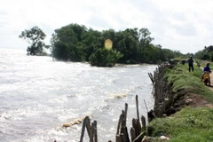 Cần giải pháp hữu hiệu để chống sạt lở đê biển ở Kiên Giang